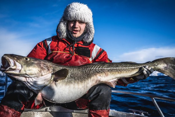 Kraken сайт магазин