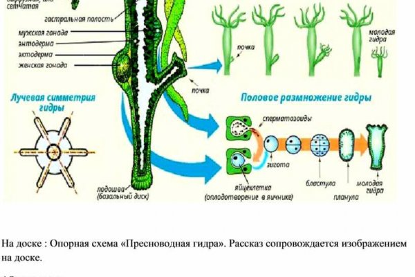 Как зайти на kraken маркетплейс