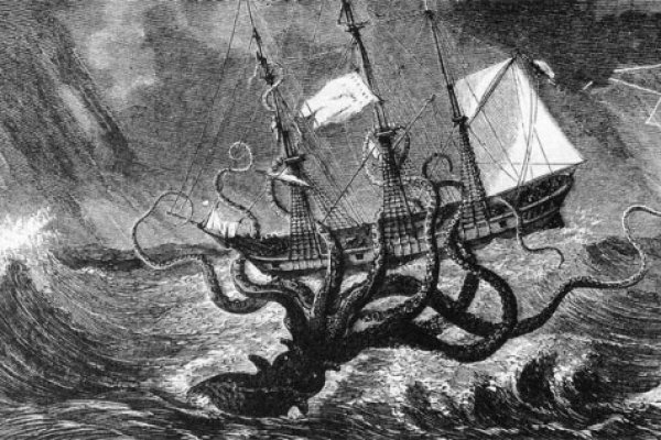 Kraken official